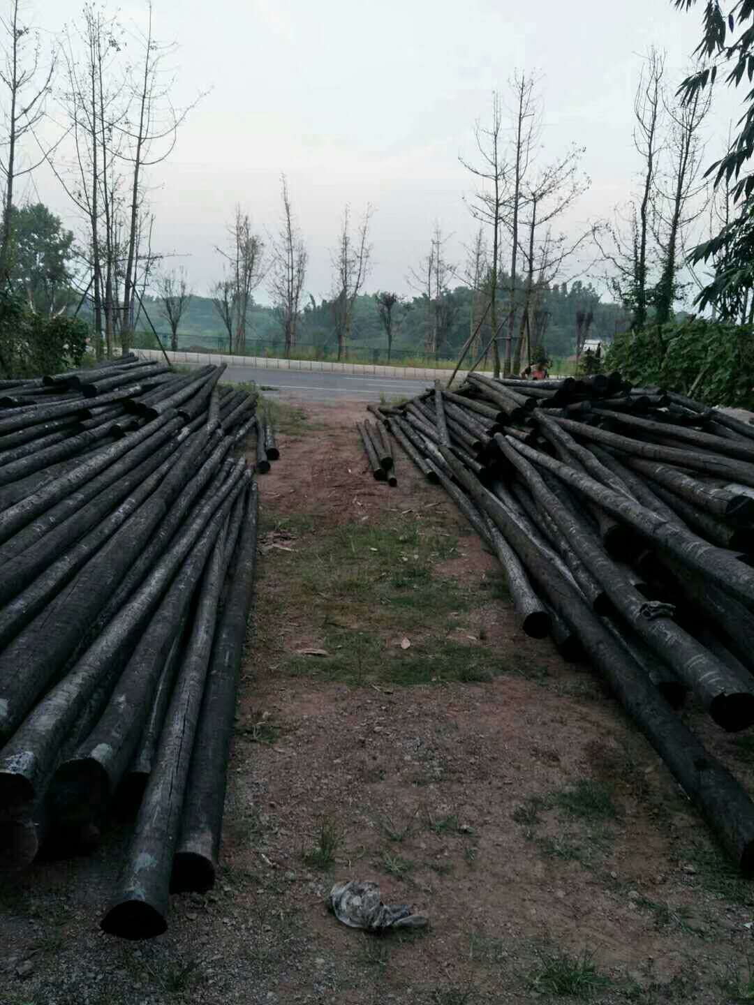 發(fā)往四川自貢富順縣450根7米110型防腐柚木桿訂單圓滿(mǎn)完成